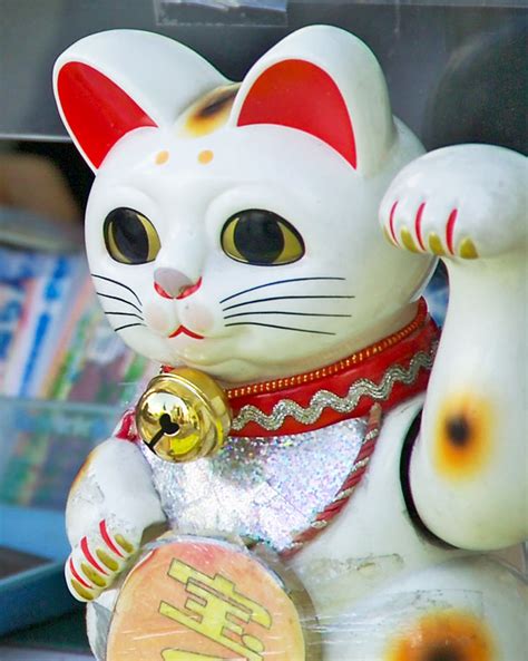 lucky cat photo|japanese lucky cat wallpaper.